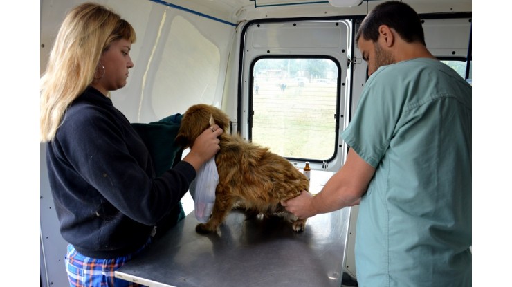 Móvil veterinario en Las Alicias y Presidente Sarmiento  